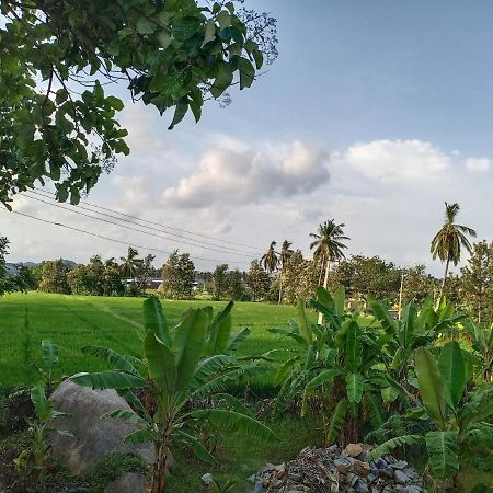 Gopi Plantation Homestay Hampi Extérieur photo