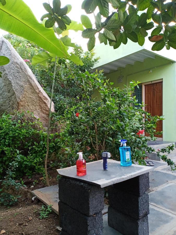 Gopi Plantation Homestay Hampi Extérieur photo