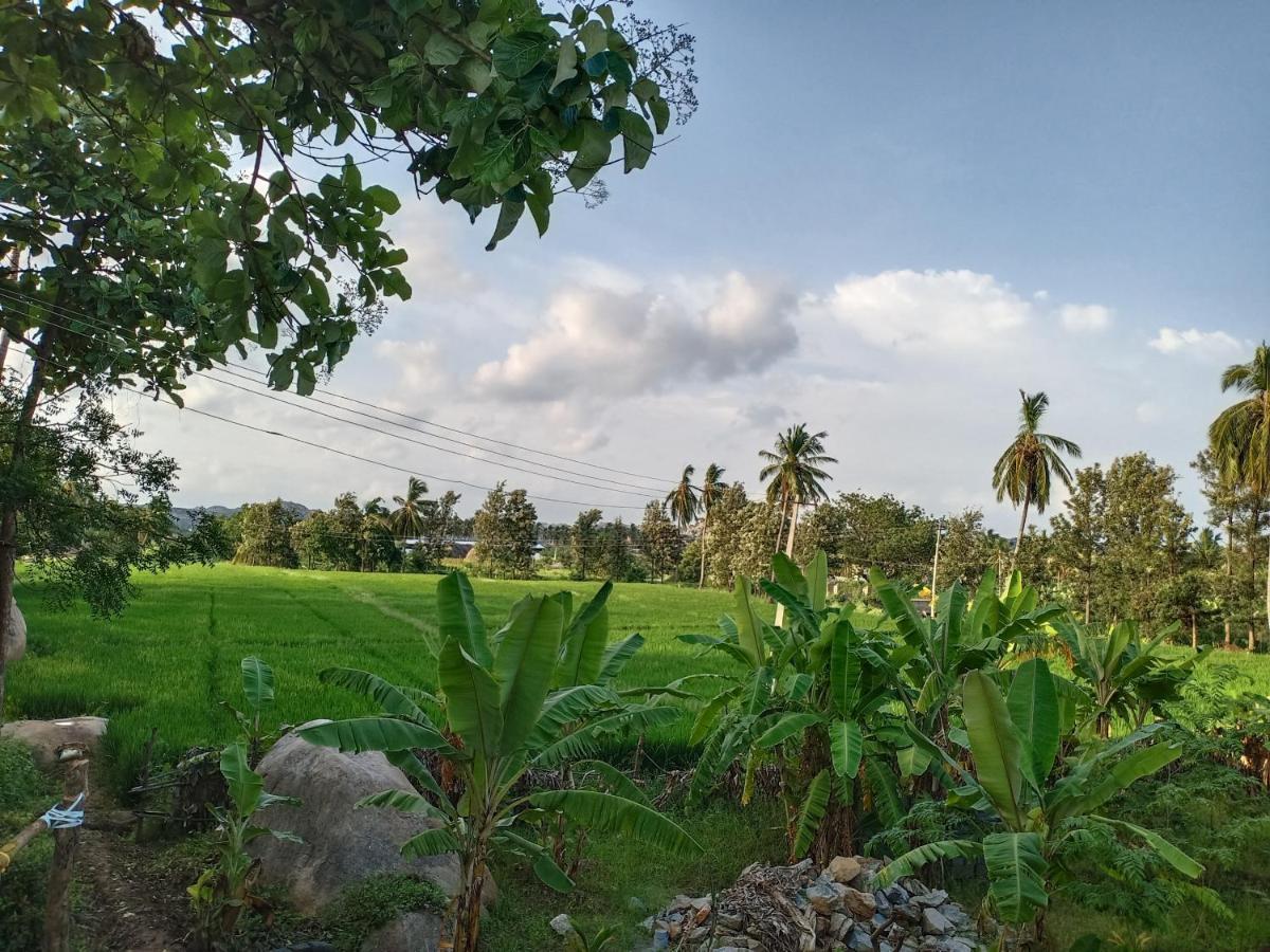 Gopi Plantation Homestay Hampi Extérieur photo