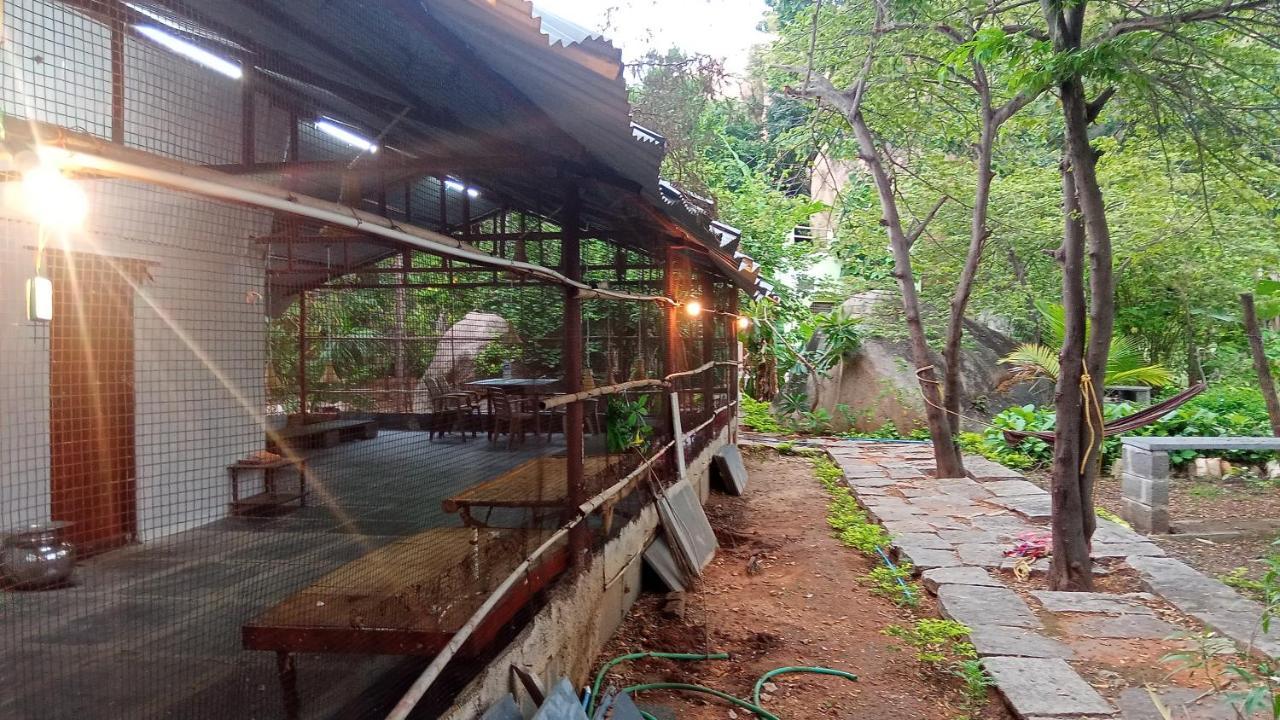 Gopi Plantation Homestay Hampi Extérieur photo