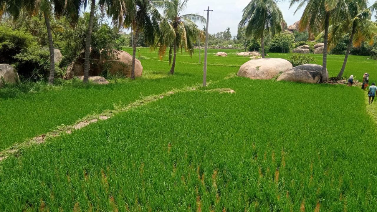 Gopi Plantation Homestay Hampi Extérieur photo