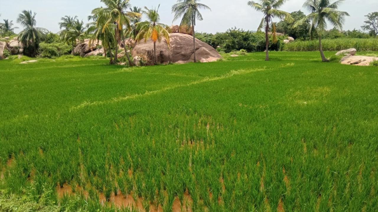 Gopi Plantation Homestay Hampi Extérieur photo