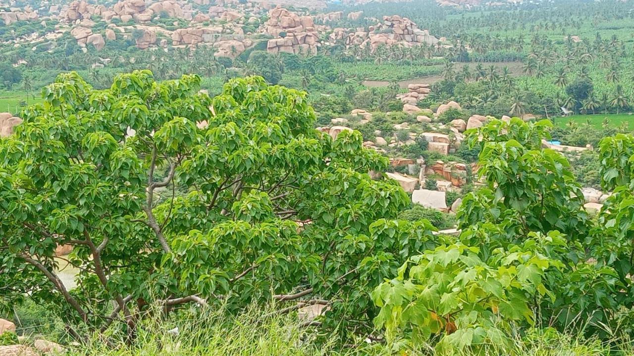 Gopi Plantation Homestay Hampi Extérieur photo