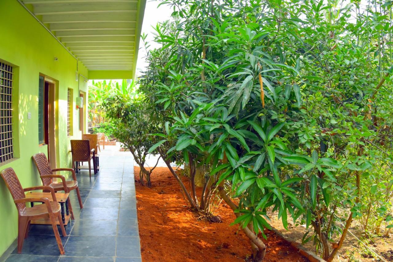 Gopi Plantation Homestay Hampi Extérieur photo