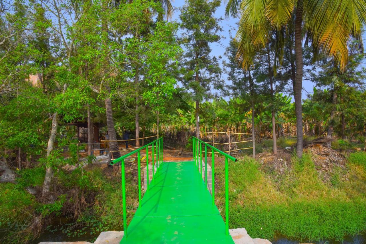 Gopi Plantation Homestay Hampi Extérieur photo
